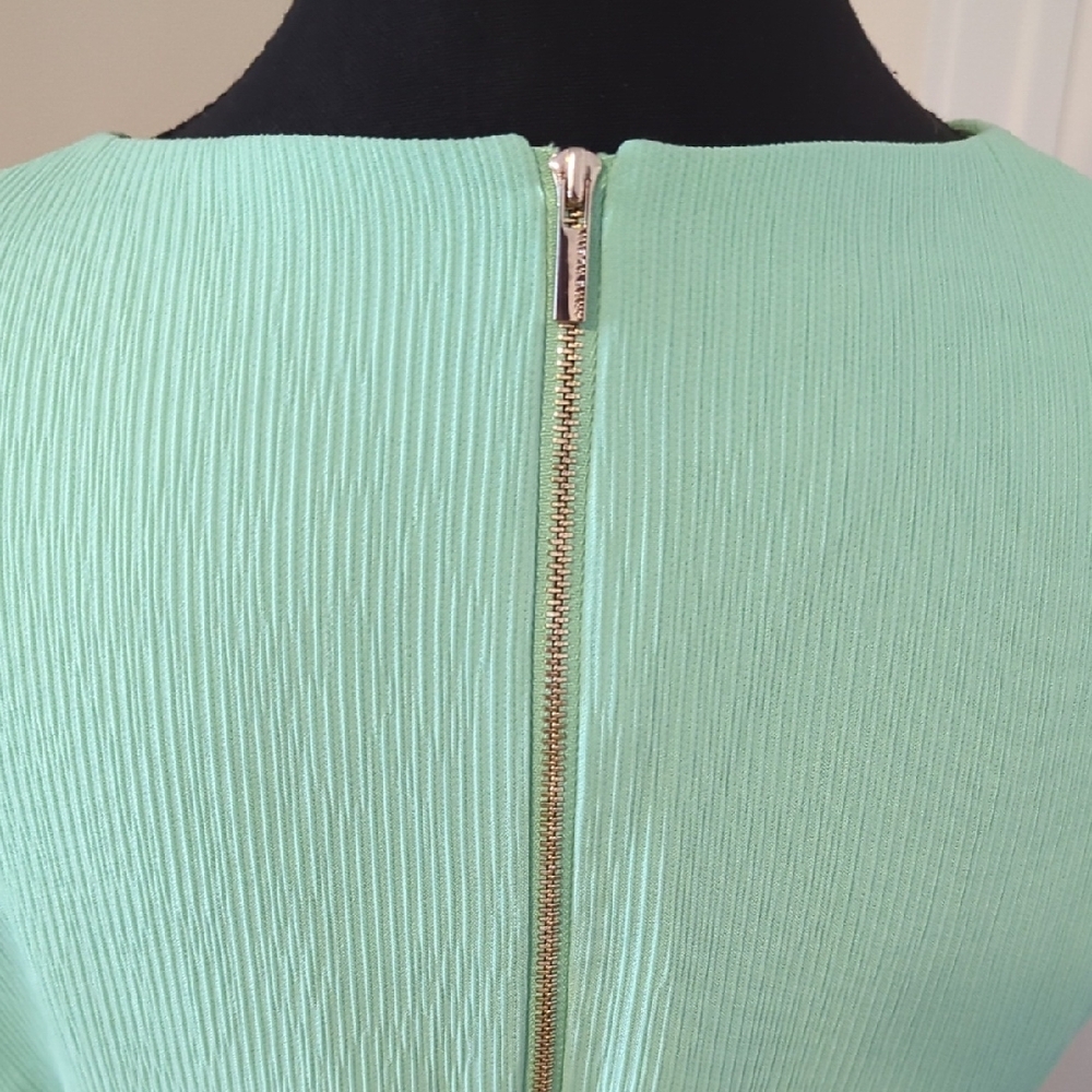 Anne Klein | Mint Green Lined Sleeveless Sheath Dress With Belt, Gold Accents, 6 - Picture 5 of 9